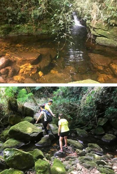 Montagem com duas fotos da trilha para a cachoeira do Riva