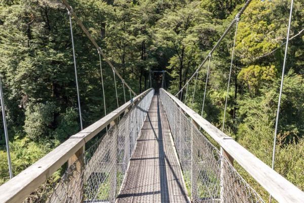 Ponte de madeira sobre o rio Pelorus, na Nova Zelândia