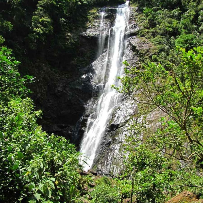 Cachoeira do Salto Morato, em Guaraqueçaba