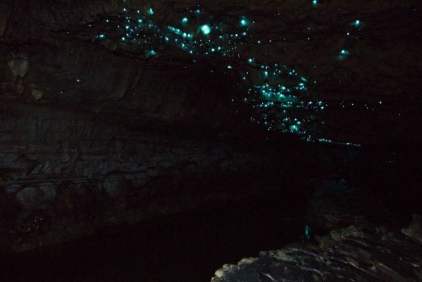 Larvas brilhantes em caverna em Waitomo, na Nova Zelândia