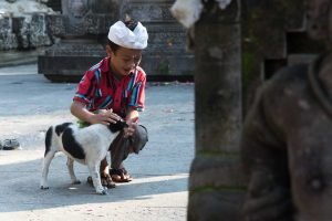 Criança brinca com cachorro em templo em Ubud, Bali