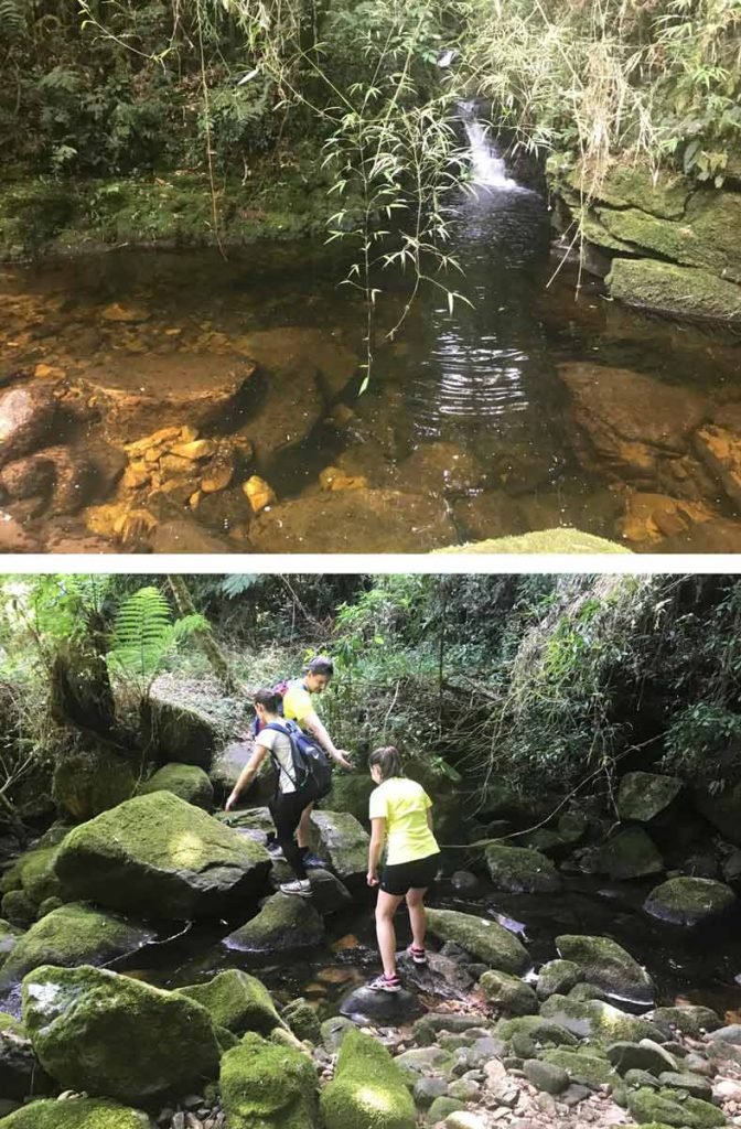 Montagem com duas imagens da trilha para a Cachoeira do Riva