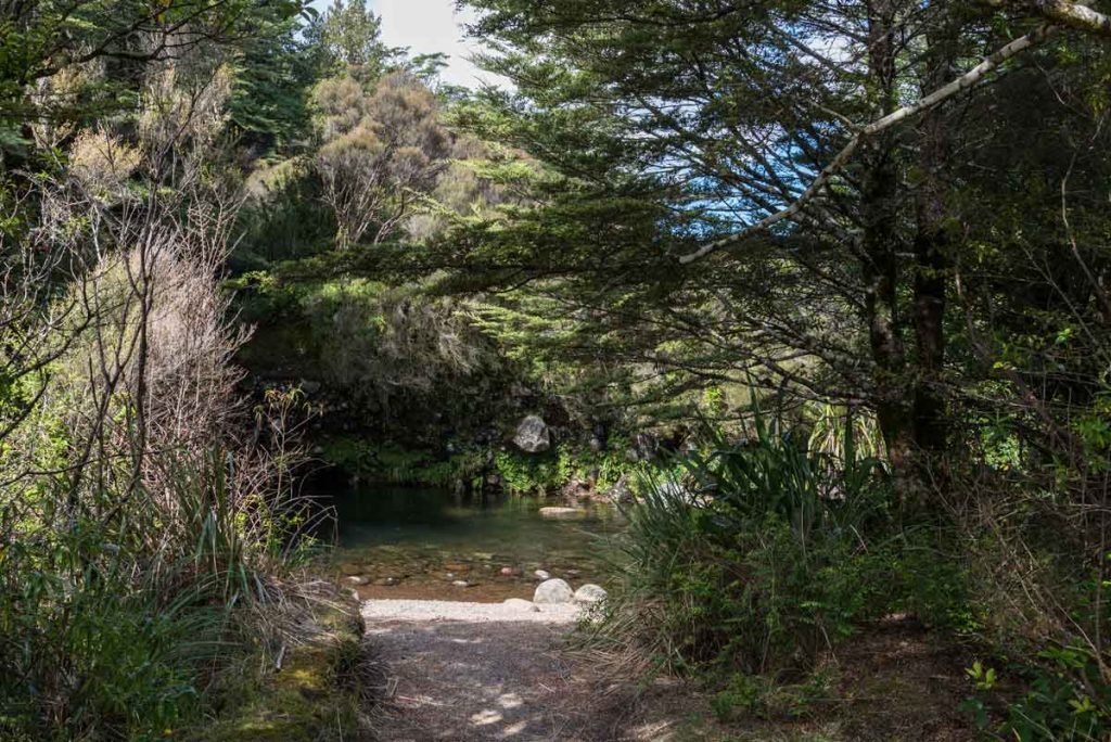 Caminho que leva a um rio em camping na Nova Zelândia