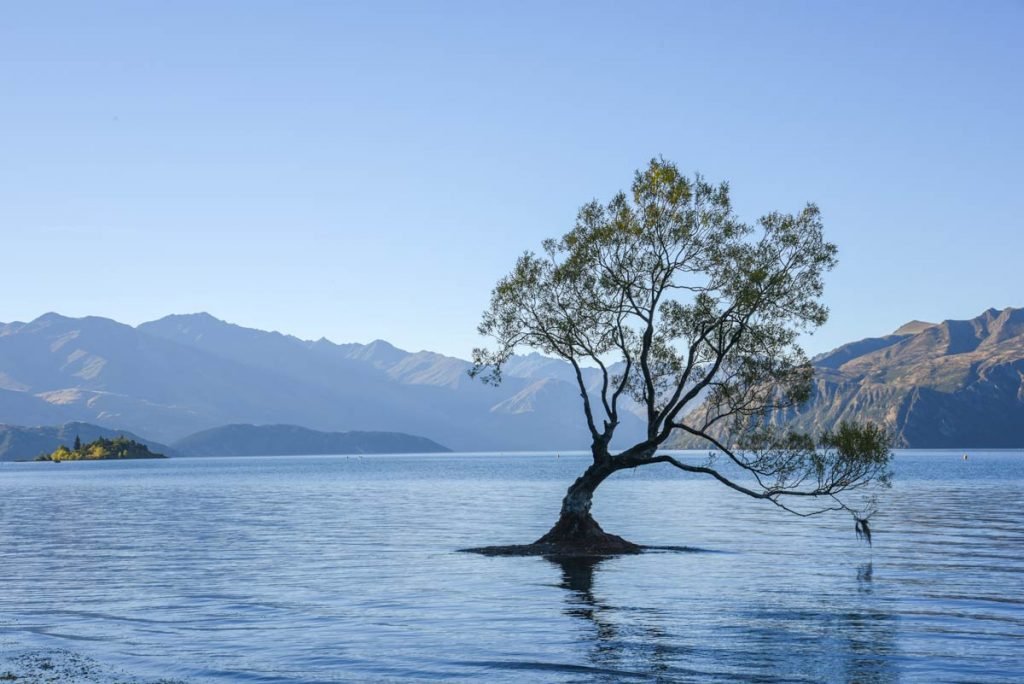 Vista da Wanaka Tree, árvore no lago da cidade de Wanaka