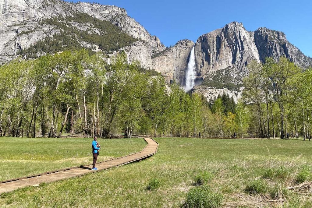 Yosemite-Valley-Meadow
