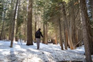 Trilha-Yosemite-Neve